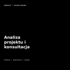 Analiza projektu i konsultacja
